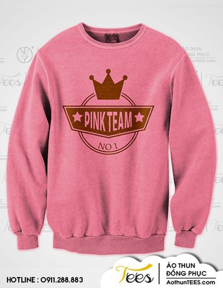 Áo sweater nhóm bạn #TeamPinkHappy - pinkteam zproduct sample