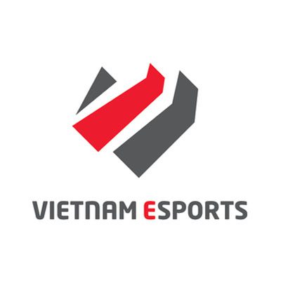 Áo thun đồng phục Vietnam Esports